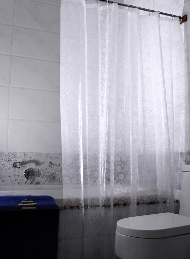 3D Shower curtain